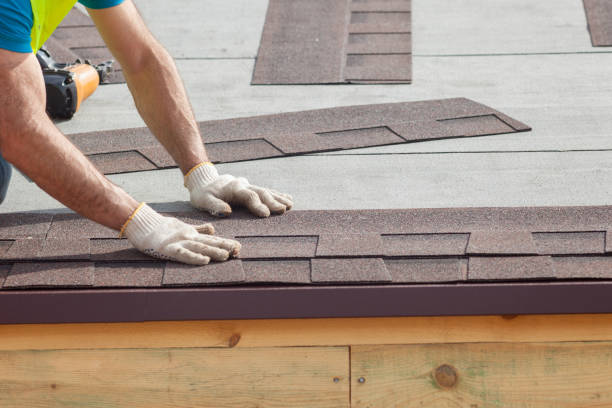 Best Roof Moss and Algae Removal  in Hrisburg, AR